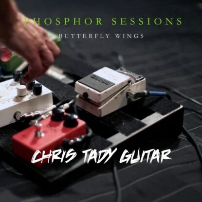 Butterfly Wings (Phosphor Sessions)